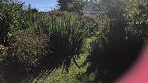 Um jardim com diversas plantas e uma pequena construção.