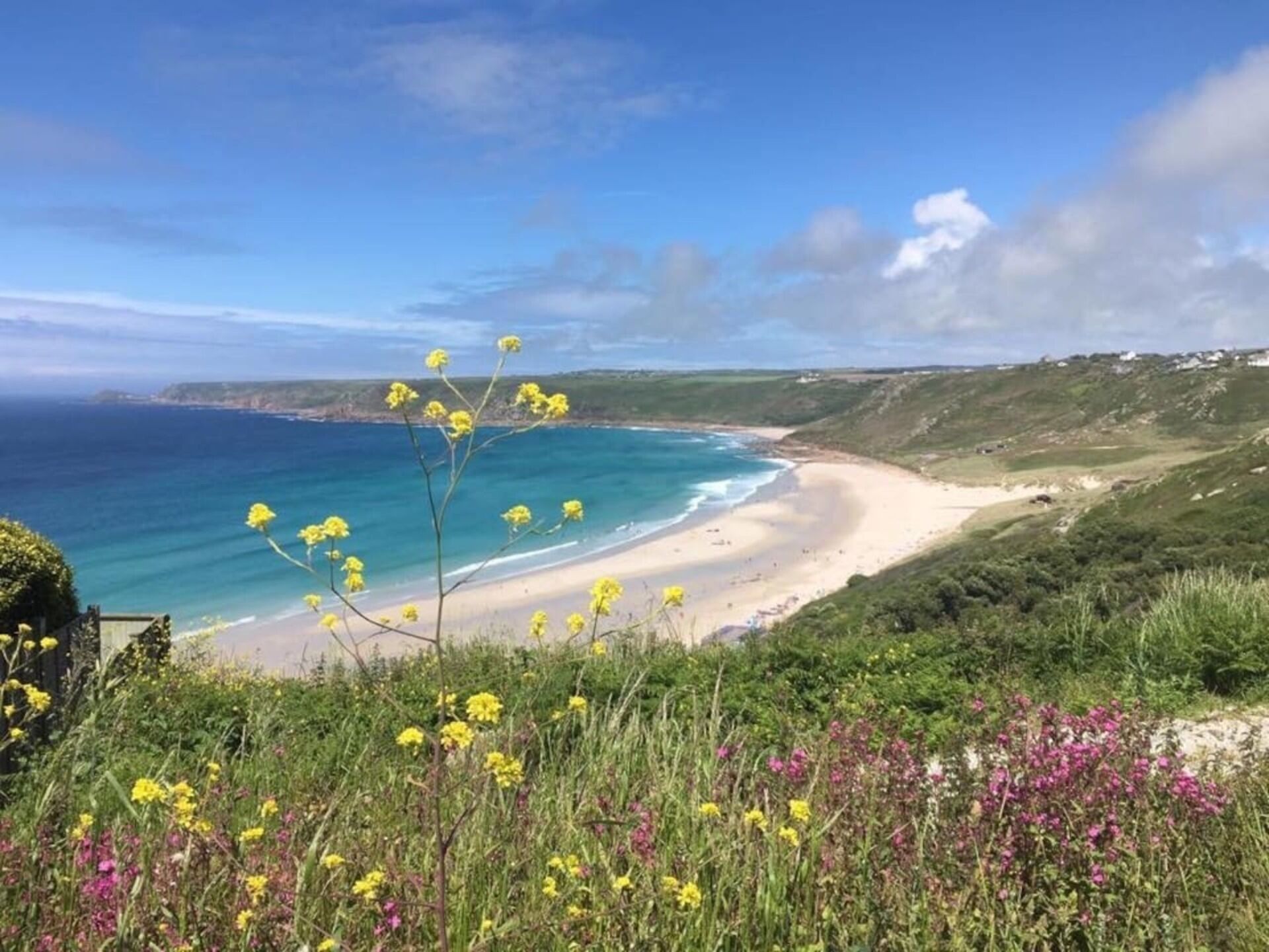 Eine Küstenlandschaft mit Sandstrand, grasbewachsenen Hügeln und Wildblumen.