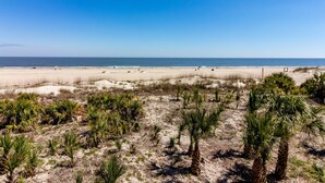 Property grounds - Gull Reef (Tybee Island)