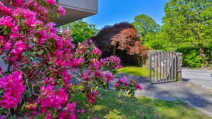 A garden with vibrant pink flowers and a stone structure. - Residence a Pistoia ID 3781 (Pistoia)