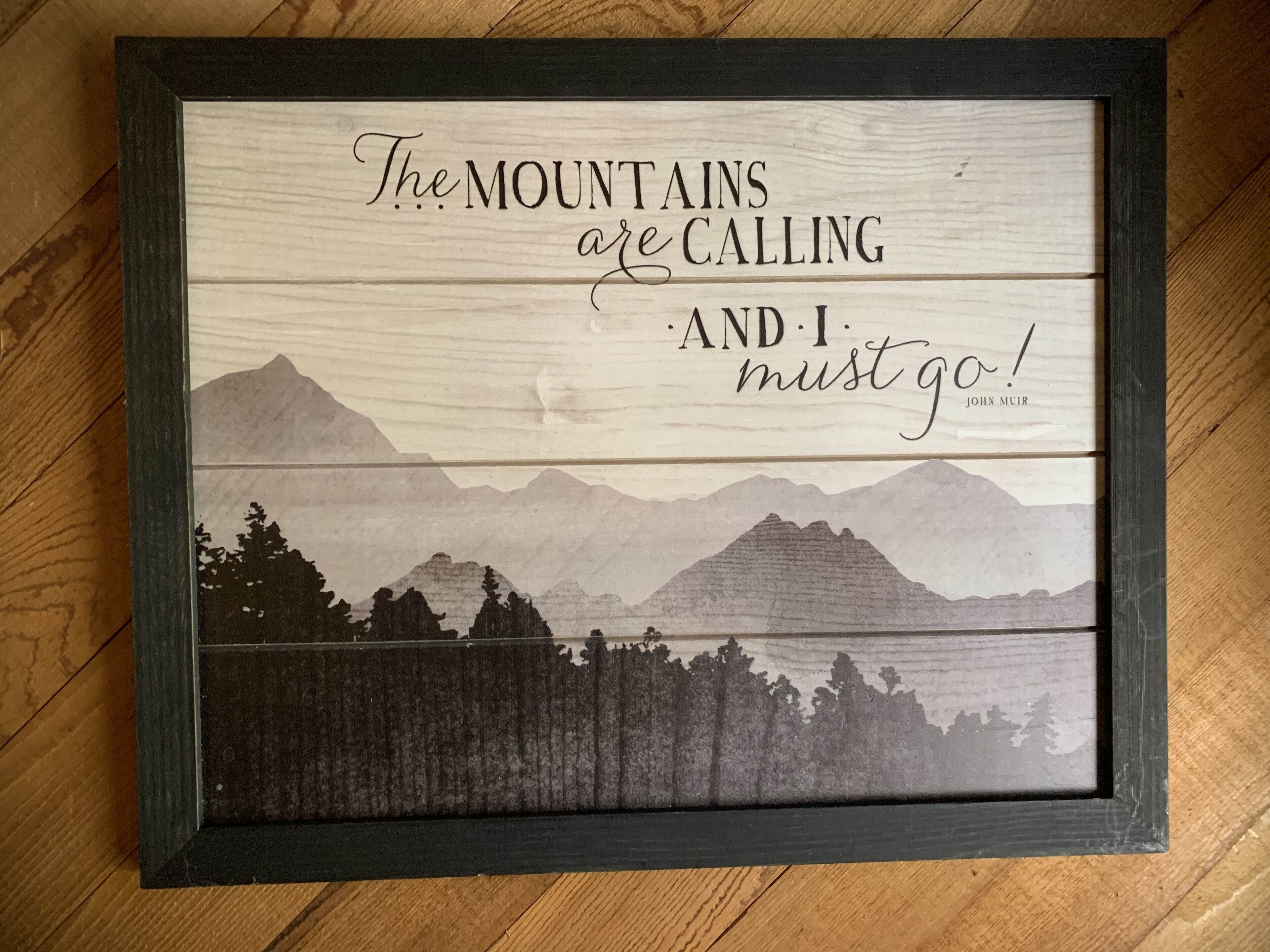 Una citazione incorniciata con un paesaggio montano.