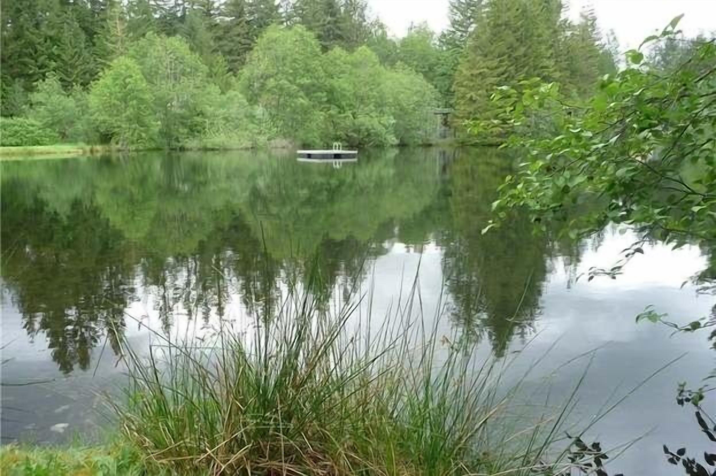 A calm lake with a dock and dense greenery in the background.