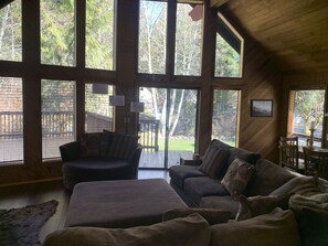 Televisión, chimenea, videojuegos, reproductor de DVD