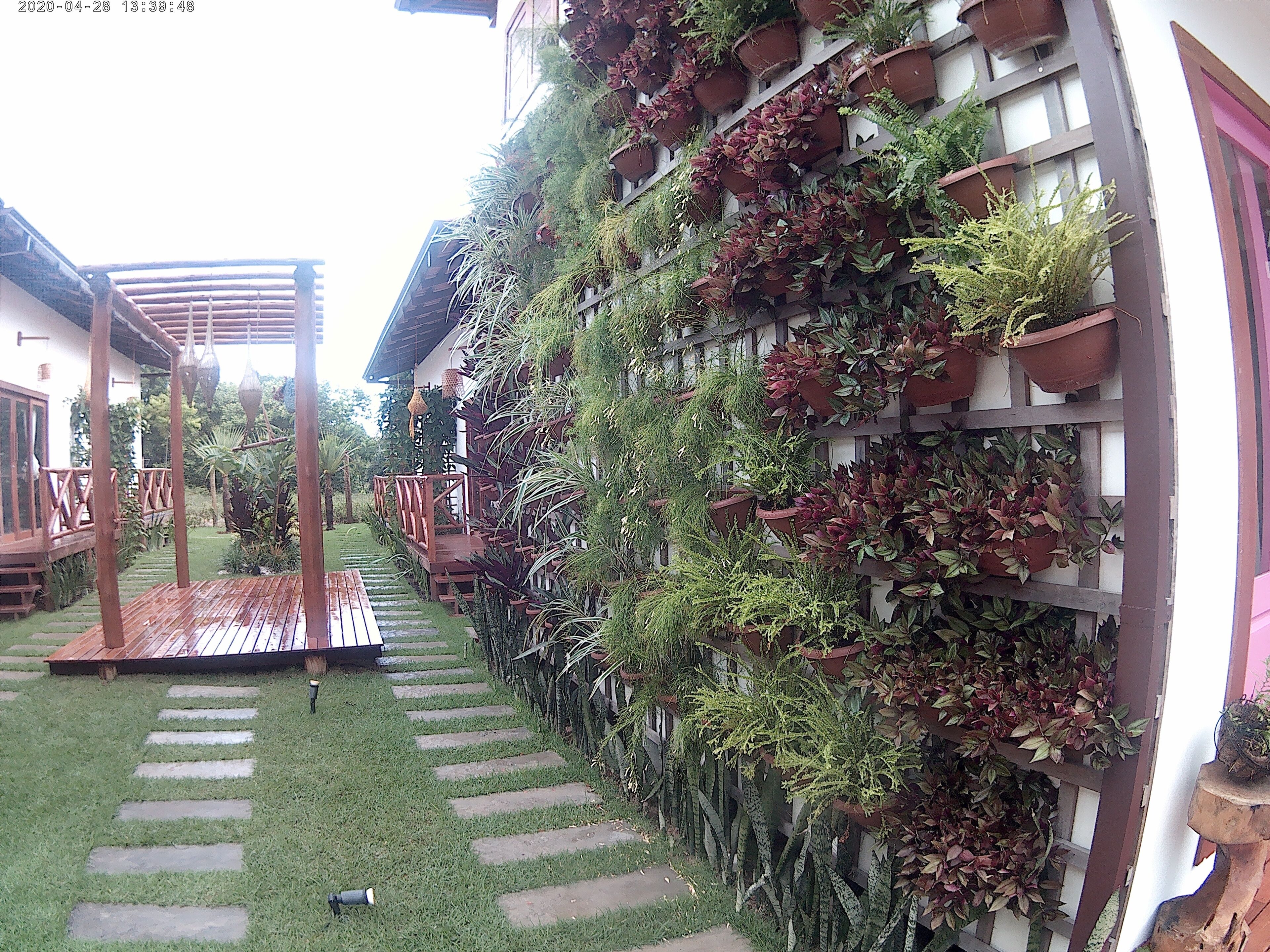 Een tuin met een houten pergola, stenen trappen en diverse potplanten.