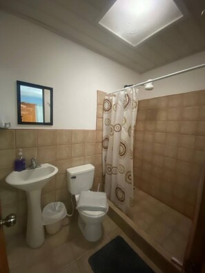 Une salle de bain avec un lavabo, des toilettes et un rideau de douche.