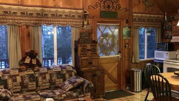 Smart TV, fireplace, DVD player, books