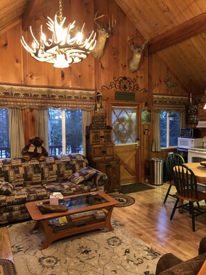 Smart TV, caminetto, lettore DVD, libri