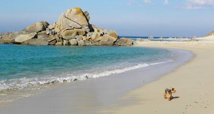 Maison de vacances sur la dune 4****