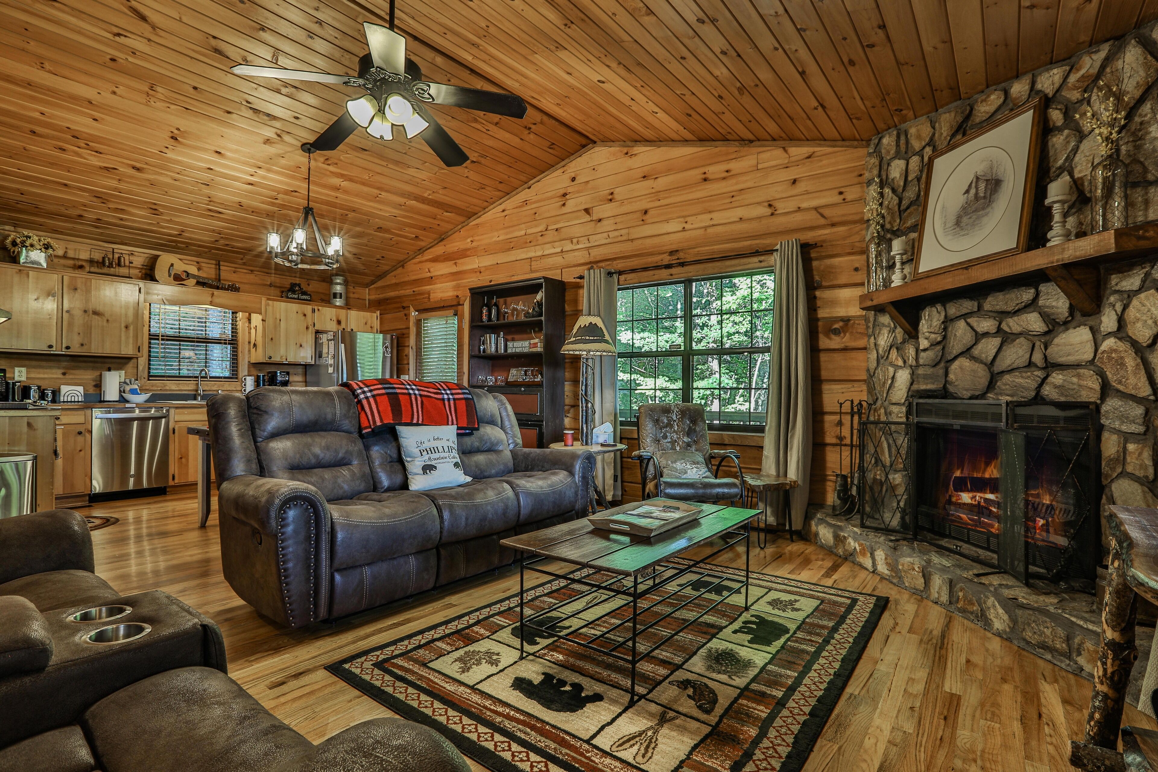 Smart TV, fireplace, DVD player, books