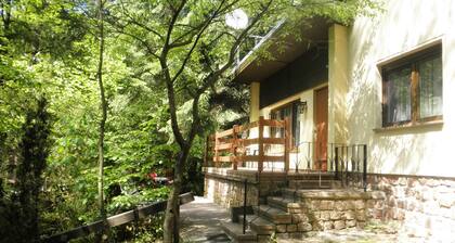 Idyllic holiday home in the Cranach forest near Lutherstadt Wittenberg