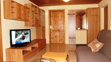 Flachbildfernseher, DVD-Player, Bücher