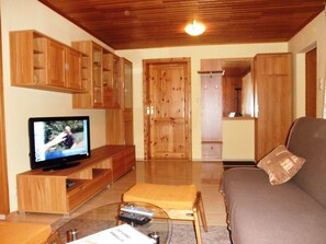 Télévision à écran plat, lecteur de DVD, livres