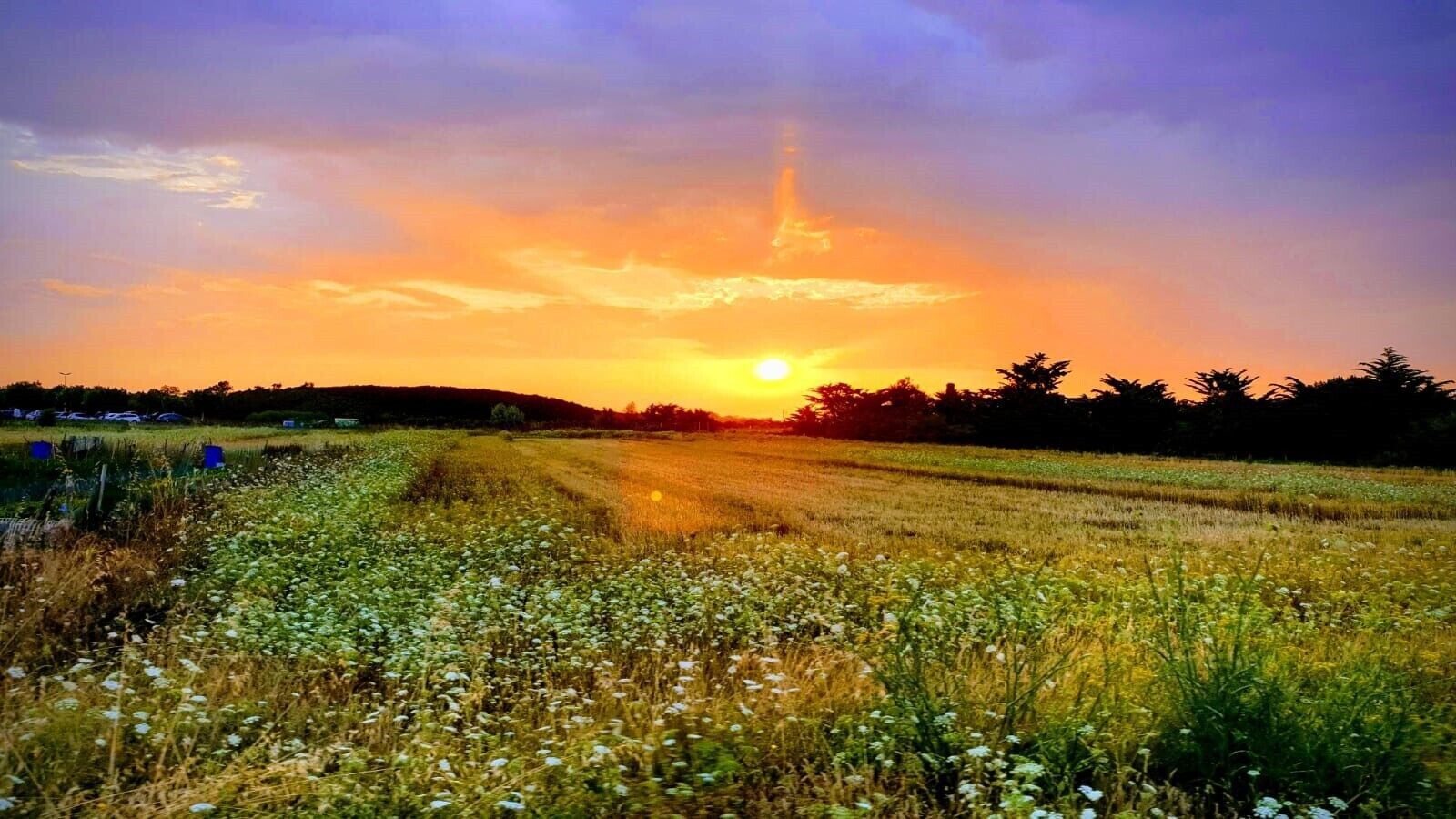 A sunset over a field with a clear sky.