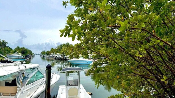 A marina with boats docked, surrounded by lush greenery. - Luxury Villa Miami Shores (Miami Shores)