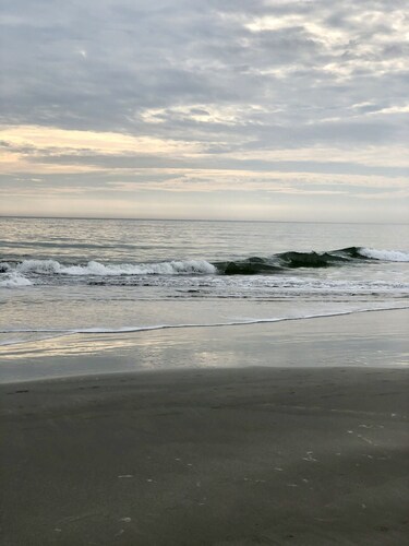 Ranta- ja sisääntuloloma