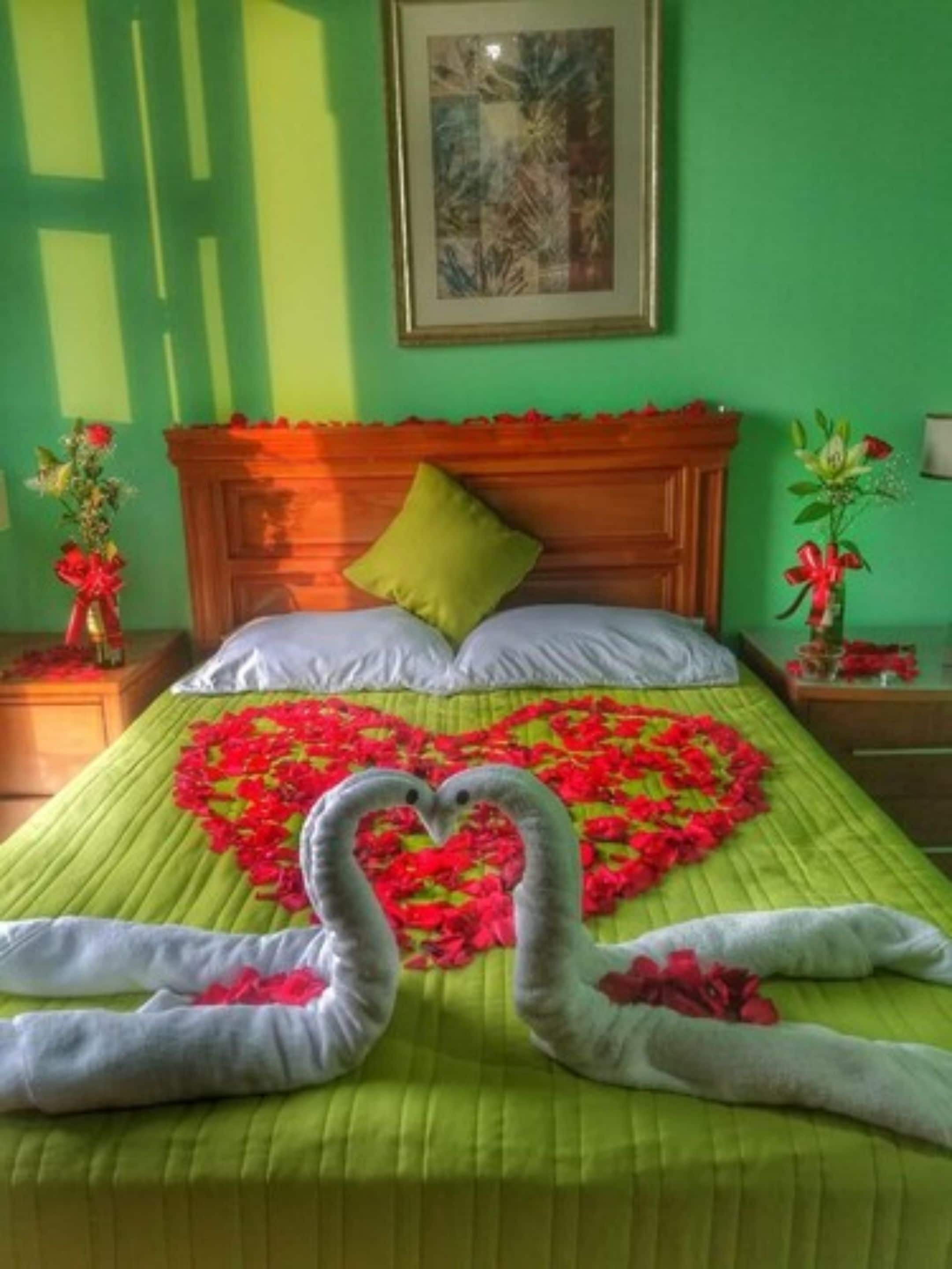 Panoramic Single Room