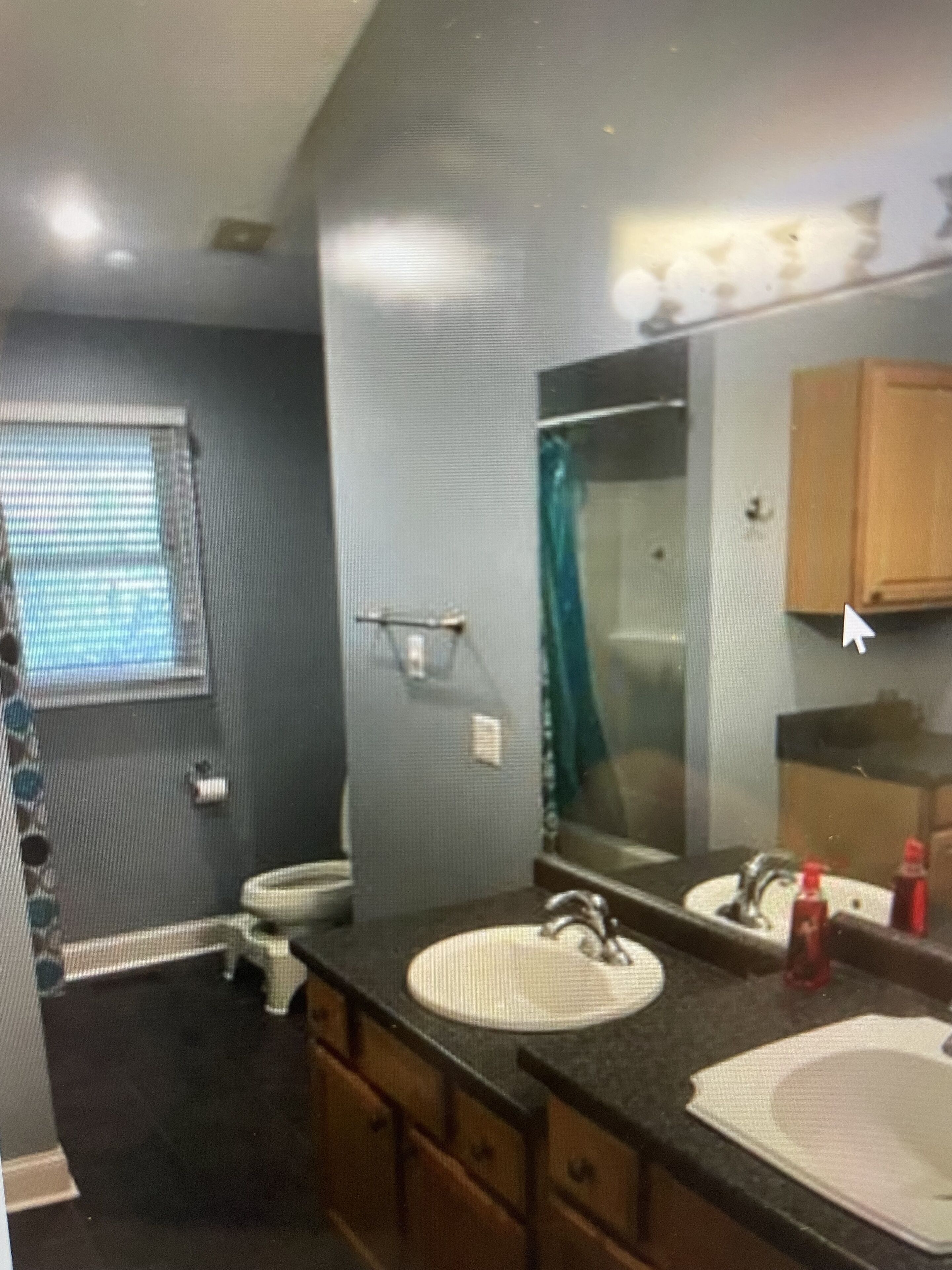 Une salle de bain avec un double lavabo, un miroir et une douche.