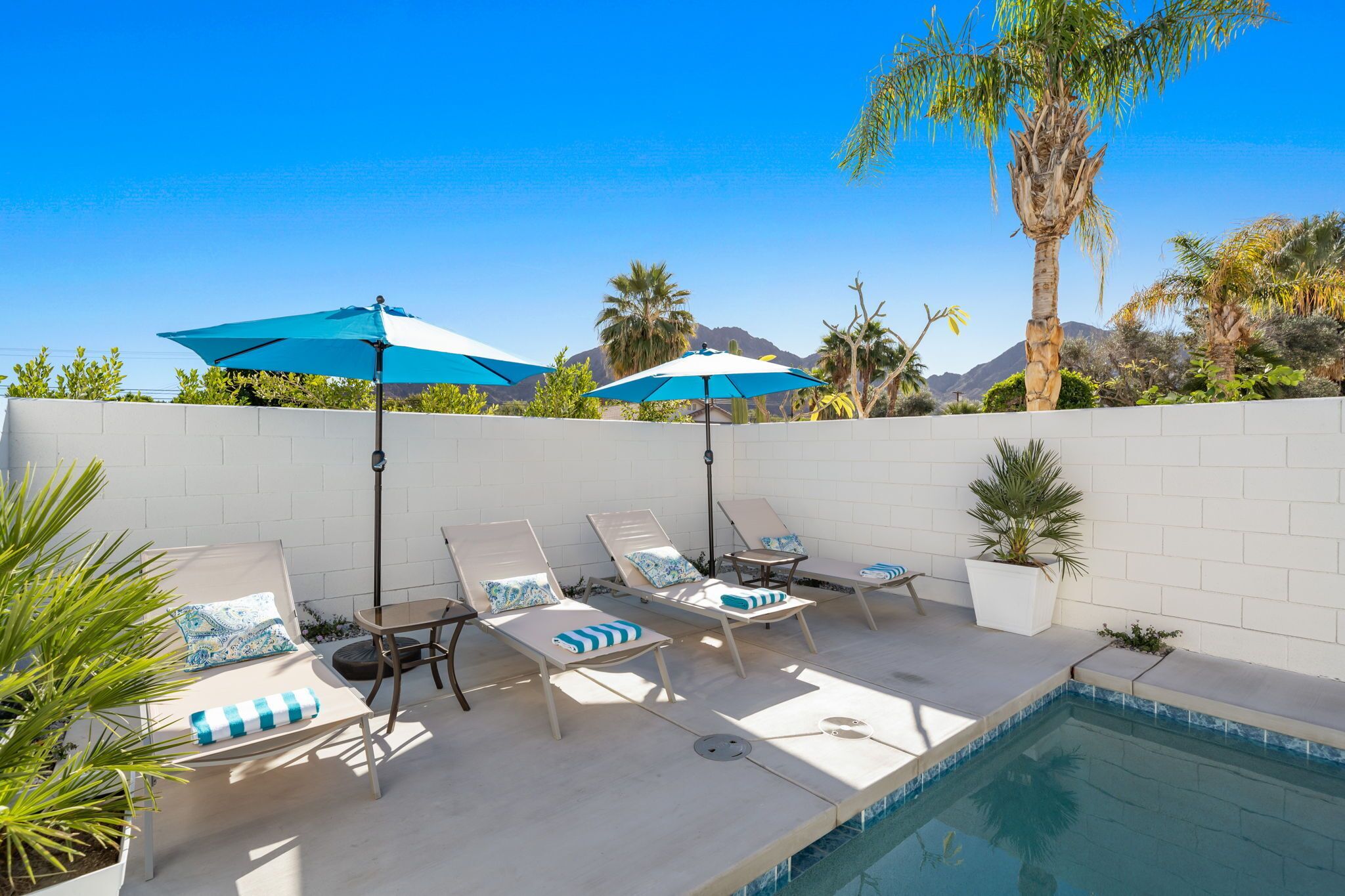 Un espace aménagé au bord de la piscine, avec des chaises longues et des parasols, entouré de palmiers et dominé par une chaîne de montagnes.