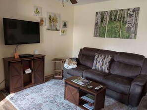 Fernseher