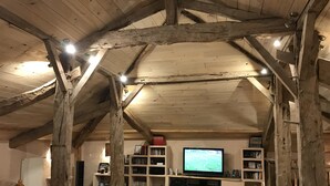 TV, peis og bordtennis