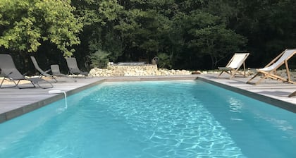 traditional Landes house 16 people spa, swimming pool, billiards