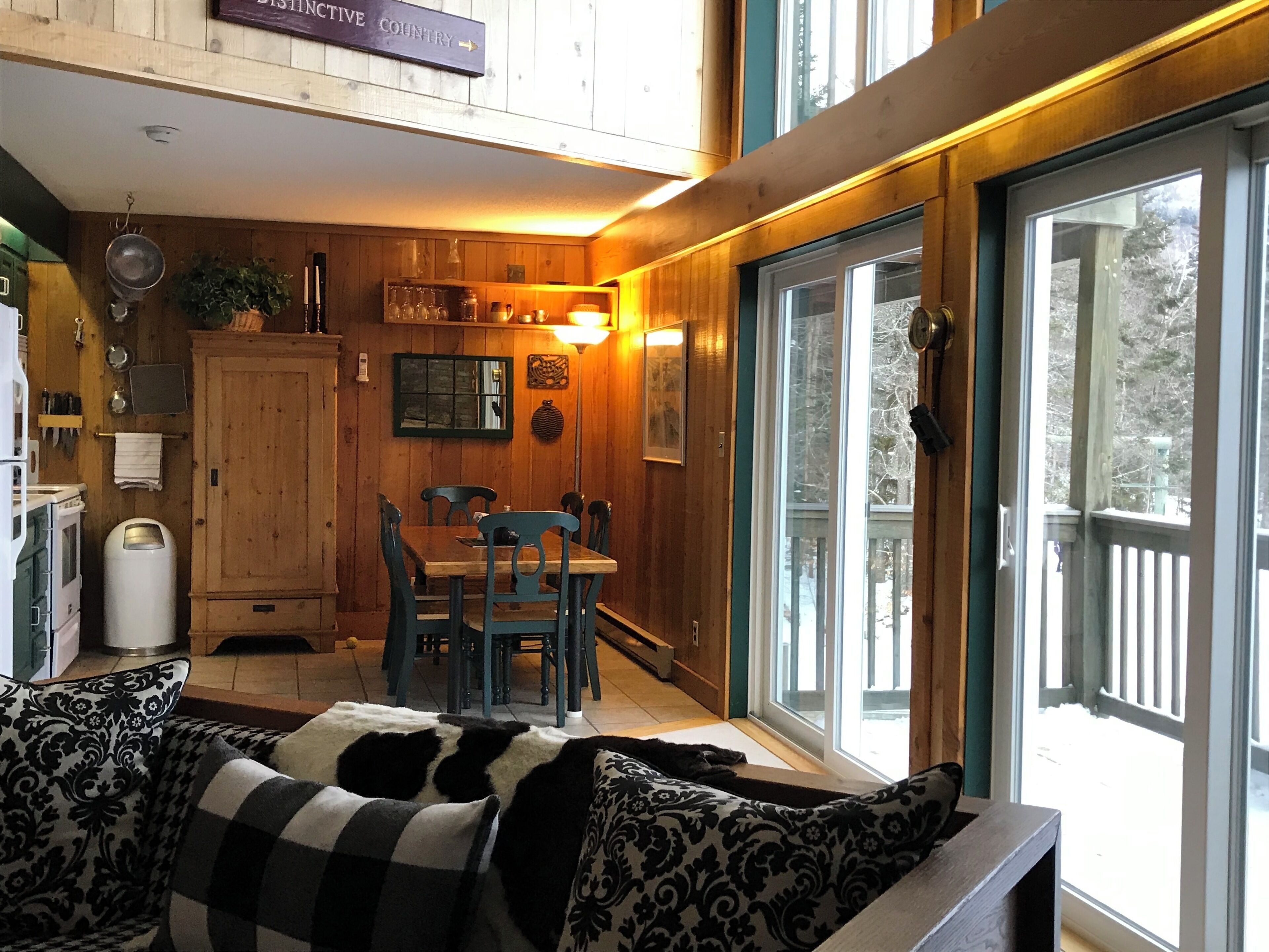 电视、壁炉、DVD 播放器、书