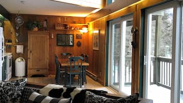 Télévision, cheminée, lecteur de DVD, livres