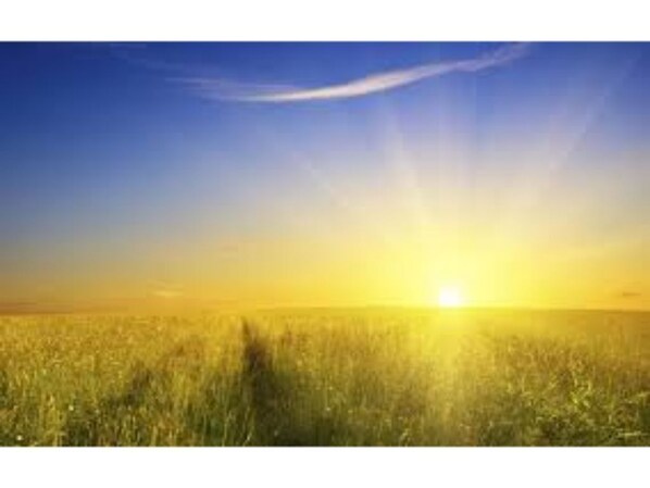 Imagen sin descripción, 1 de 3, botón