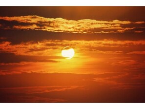 Imagen sin descripción, 3 de 3, botón