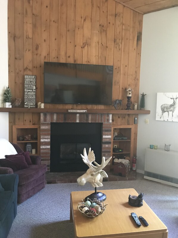 TV, fireplace, ping pong