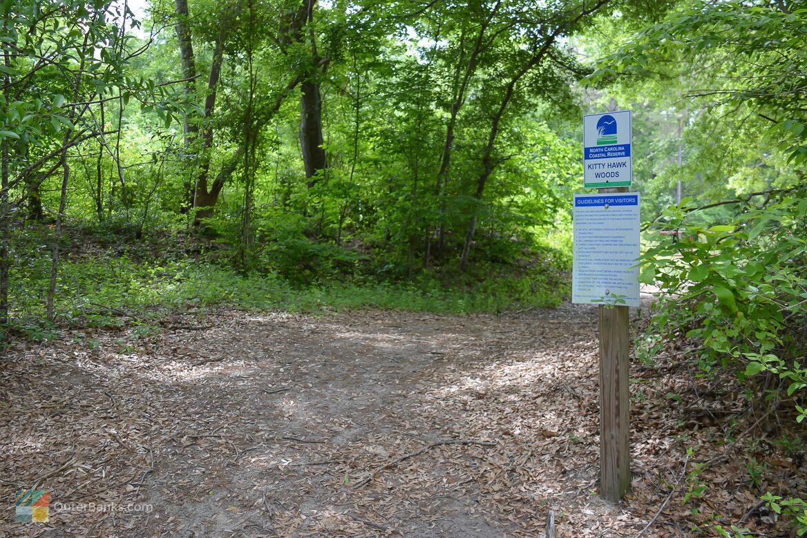 A forested area with a sign for the North Carolina Coastal Reserve Kitty Hawk Woods, including guidelines for visitors.