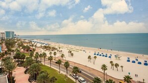 A beach with palm trees, a road, and buildings in the background.