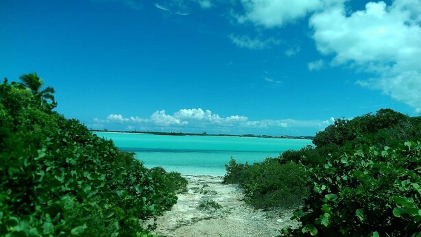 A beach path leading to turquoise waters, surrounded by dense green foliage.