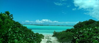 Rolle Town Retreat, Swim with The Pigs and and Nurse Sharks