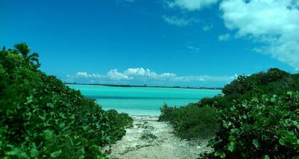 Rolle Town Retreat, Swim with The Pigs and and Nurse Sharks