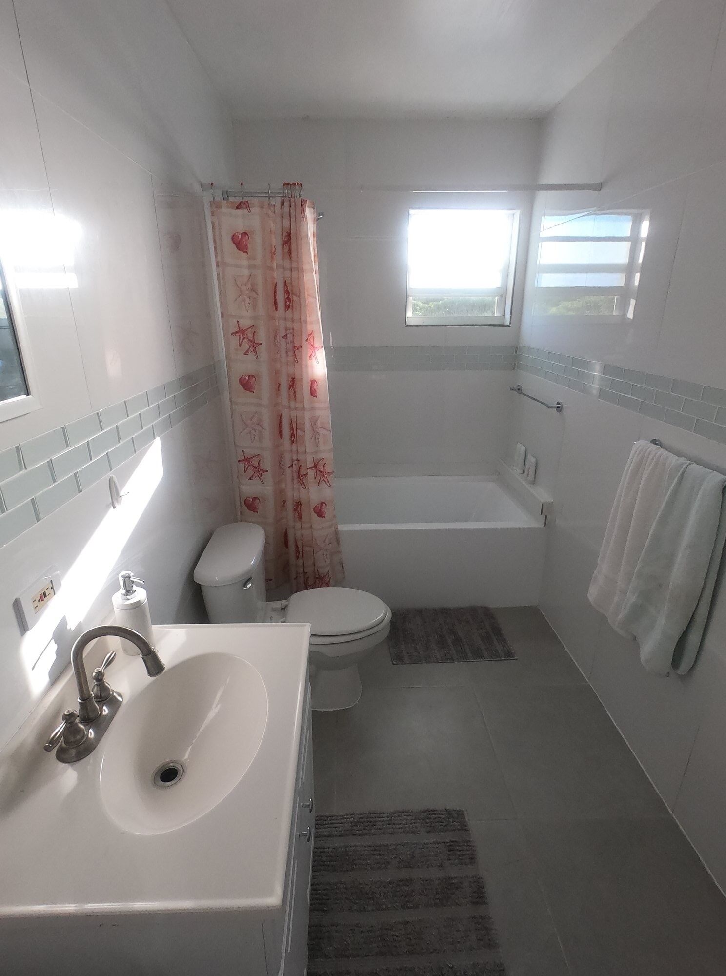 Hair dryer, towels, soap, toilet paper