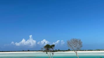 On the beach, sun loungers, beach towels