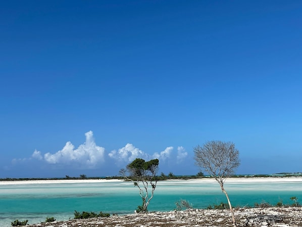 Plage, chaises longues, serviettes de plage