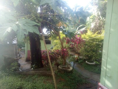Wale's Yard    (Mango Tree Room) Good room to relax and enjoy nature.