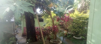 Wale's Yard (Mango Tree Room) Good room to relax and enjoy nature.