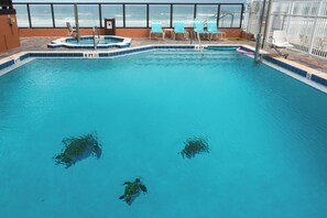 An indoor swimming pool with clear water, two sea turtles, and blue chairs around the pool. - Daytona Beach Shores | Family Ocean Coast Retreat | Pool + Beach | 2BR (Daytona Beach)