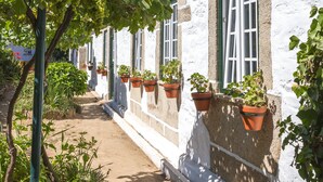 Un sendero estrecho que lleva a un edificio blanco con tejas de arcilla y marcos de ventanas verdes.