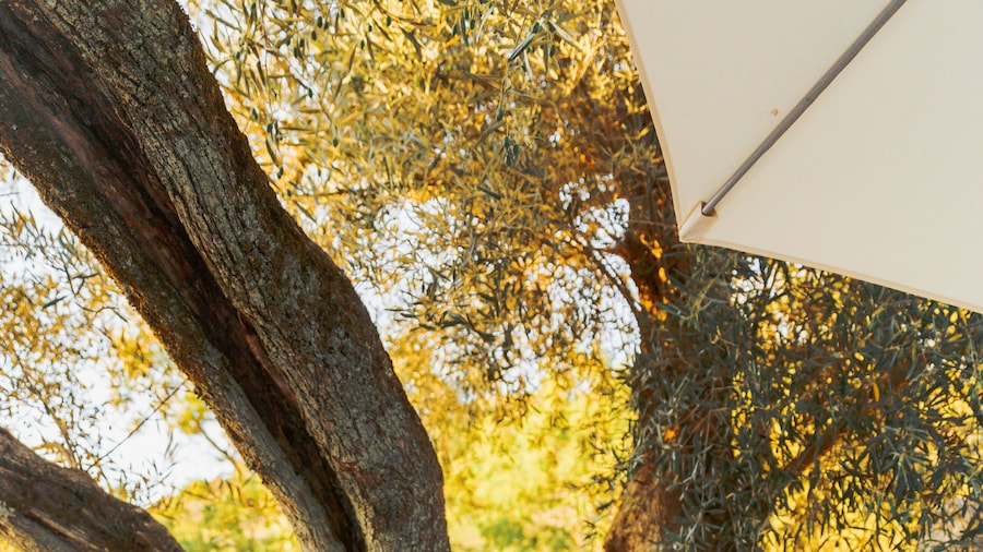 Quinta do Valdalágea