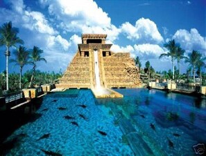 A large outdoor swimming pool with a pyramid structure in the background.