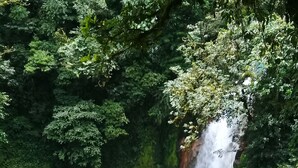 A natural hot spring surrounded by lush greenery and a cascading waterfall. - Wonderful View Cabins (Bijagua)