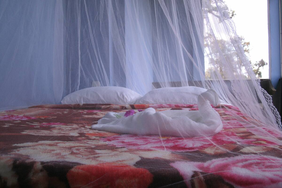 A bed with a floral bedspread and white pillows, covered by a white mosquito net.