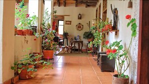 Um corredor amplo com piso de azulejos, ladeado por plantas em vasos e mobiliário de madeira.