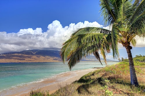 Spacious Maui Beach House, Private Pool, AC, Sleeps 6