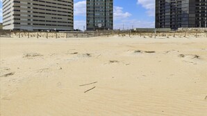 Condo, 2 Bedrooms | Beach | On the beach - The Shoals Unit 2 by Long & Foster (Fenwick Island)