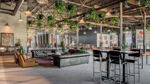 Et rummeligt indendørs område med højt til loftet, møbler i industriel stil og hængende planter.
